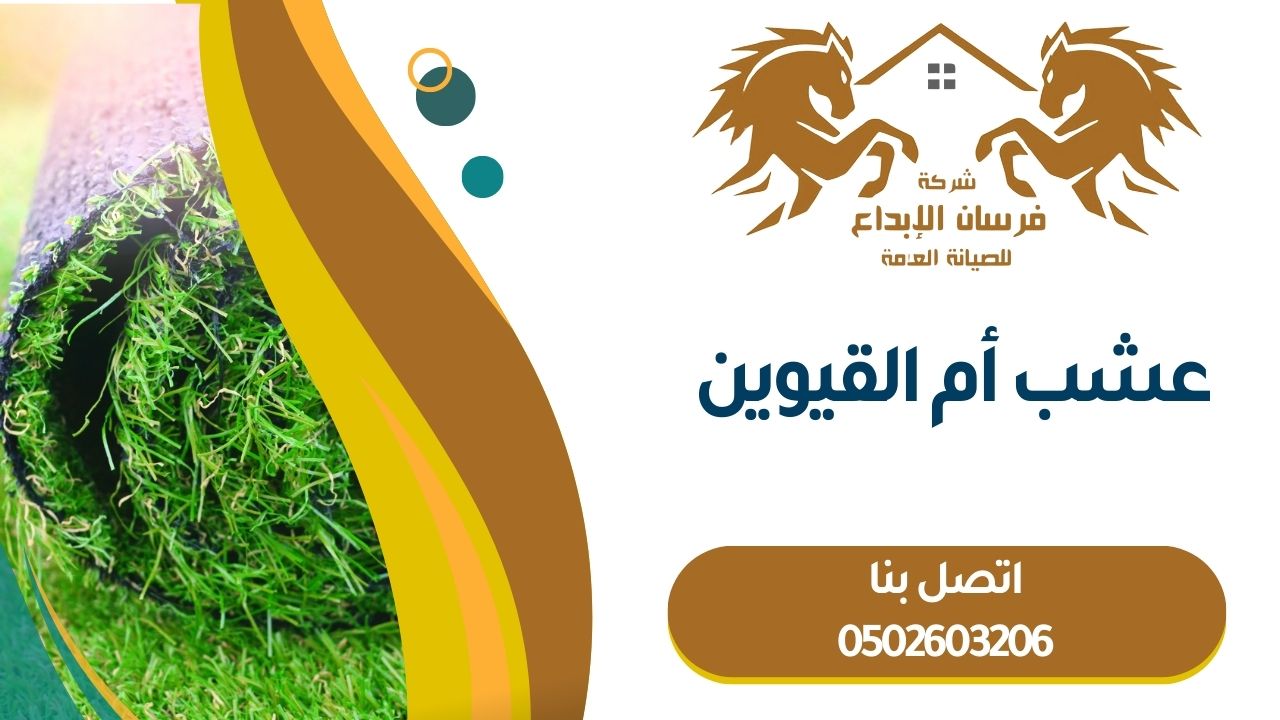 عشب أم القيوين